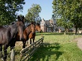 Logement Doosje Warfstermolen, Lauwersmeer Friesland Nederland