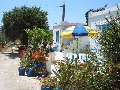 Prive vakantiehuisjes East-West Appartementen Koutsounari Kreta Grece