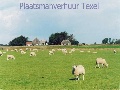 Texel: Bargerhof vakantie & recreatie De waal-texel Waddeneilanden Pays-Bas